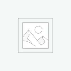 Social Media Marketing Services